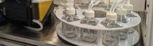 GMP mucoexcipient StaniPharm fill finish