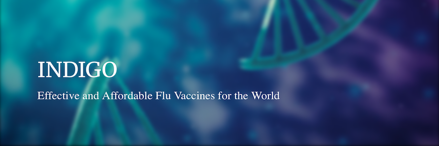 StaniPharm and LiteVax bring a novel vaccine adjuvant from bench to First-in-Human trial in the INDIGO consortium